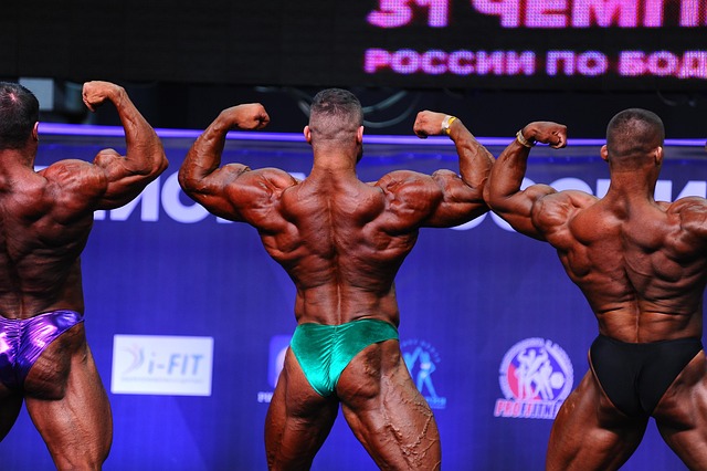 球队人员组 球队人员组